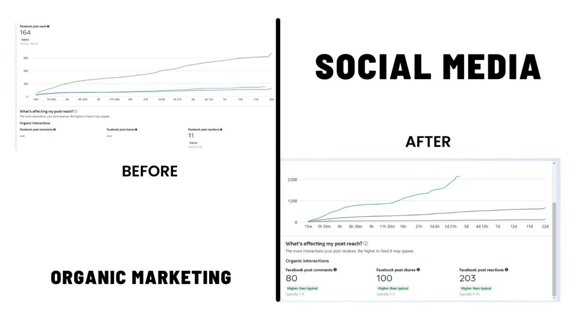 Social Media Marketing Case Study