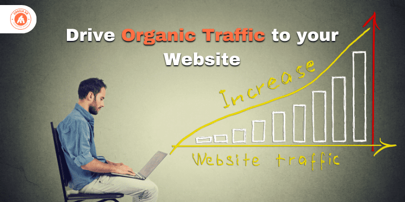 Drive Website Ranking, Organic Traffic, and Leads.